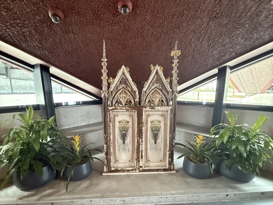 A restored Gothic architectural fragment displayed between potted plants in the entrance, under the textured concrete ceiling